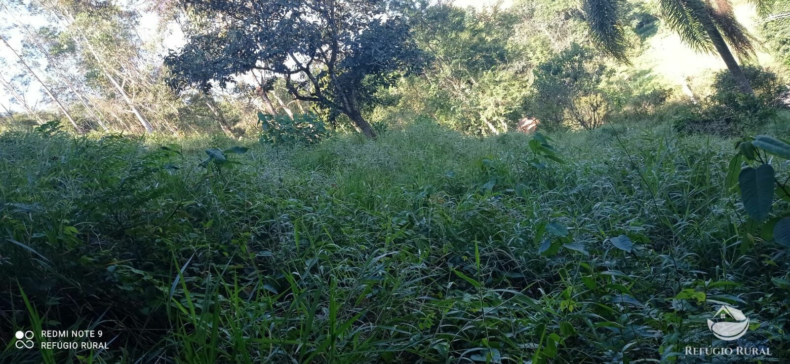 Sítio de 4 ha em São José dos Campos, SP