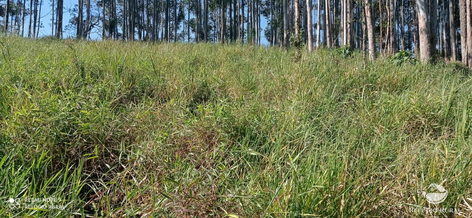 Sítio de 4 ha em São José dos Campos, SP