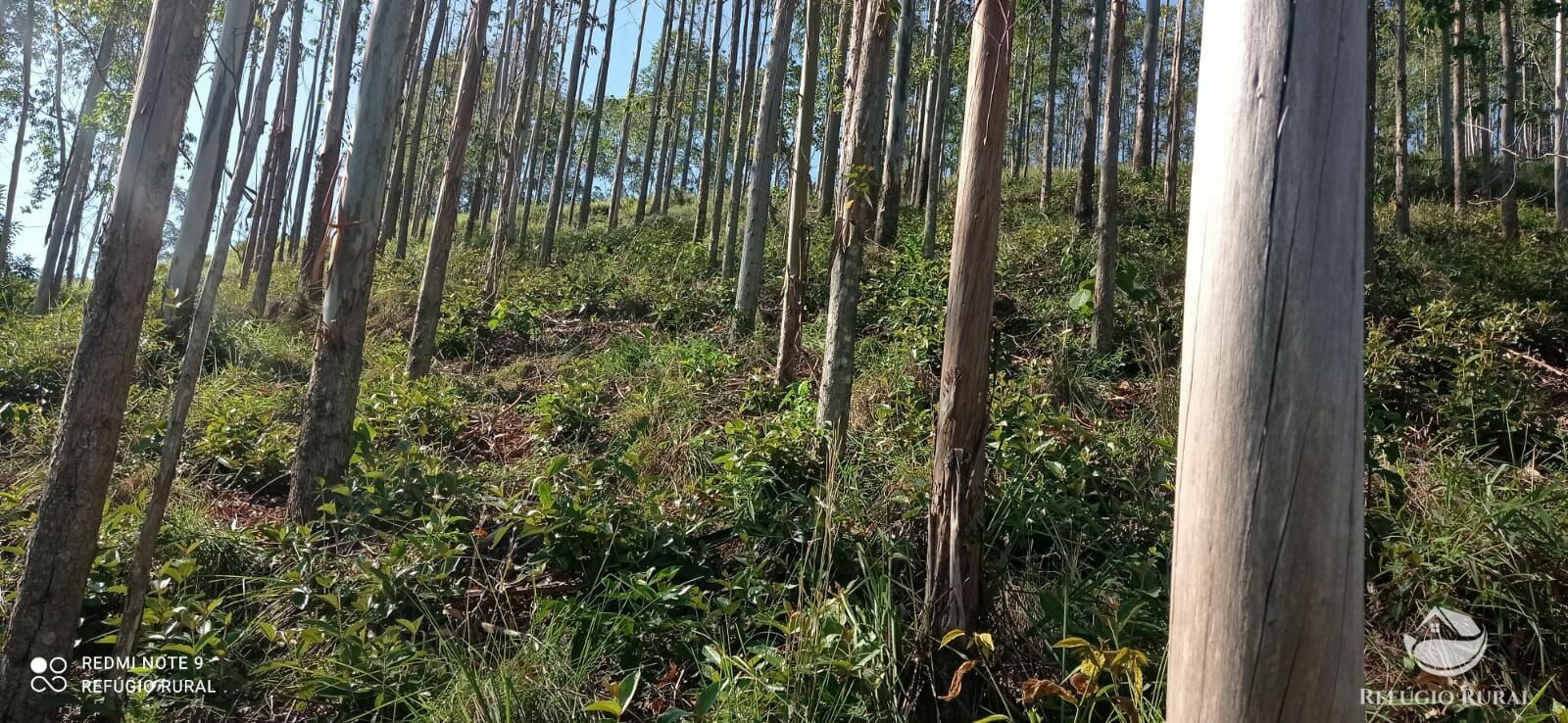 Sítio de 4 ha em São José dos Campos, SP