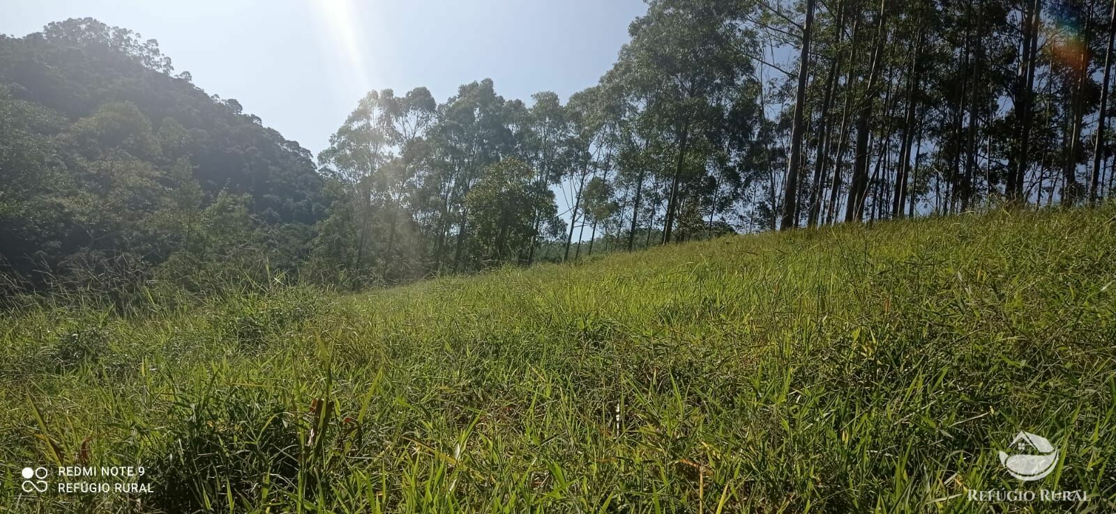 Sítio de 4 ha em São José dos Campos, SP