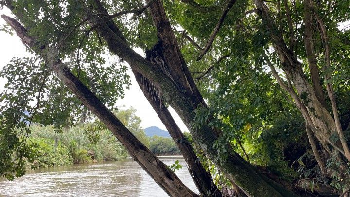 Chácara de 1.900 m² em Itati, RS