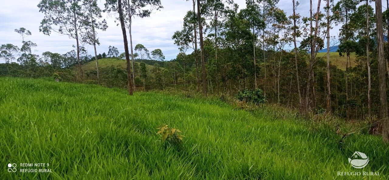 Sítio de 36 ha em São José dos Campos, SP