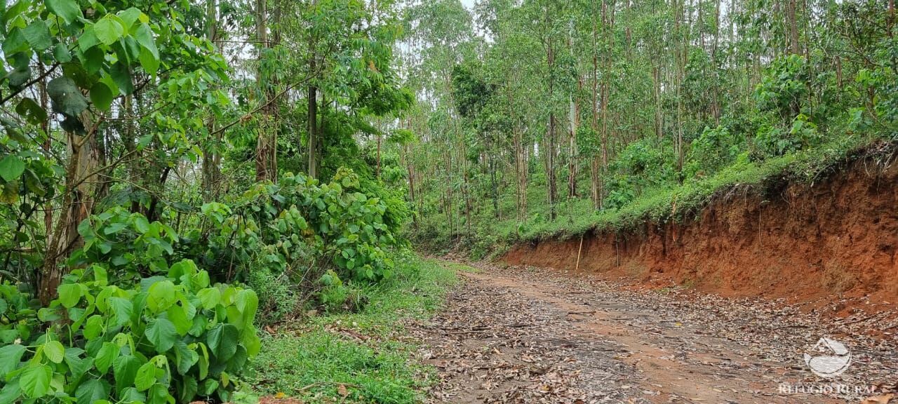 Sítio de 36 ha em São José dos Campos, SP