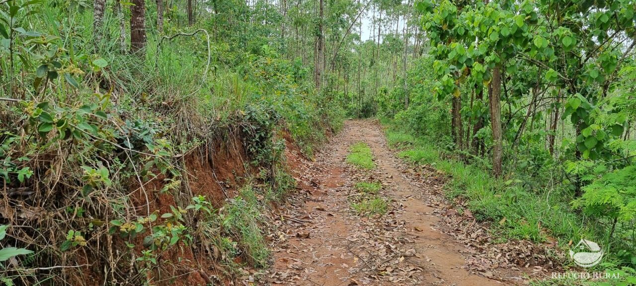 Sítio de 36 ha em São José dos Campos, SP