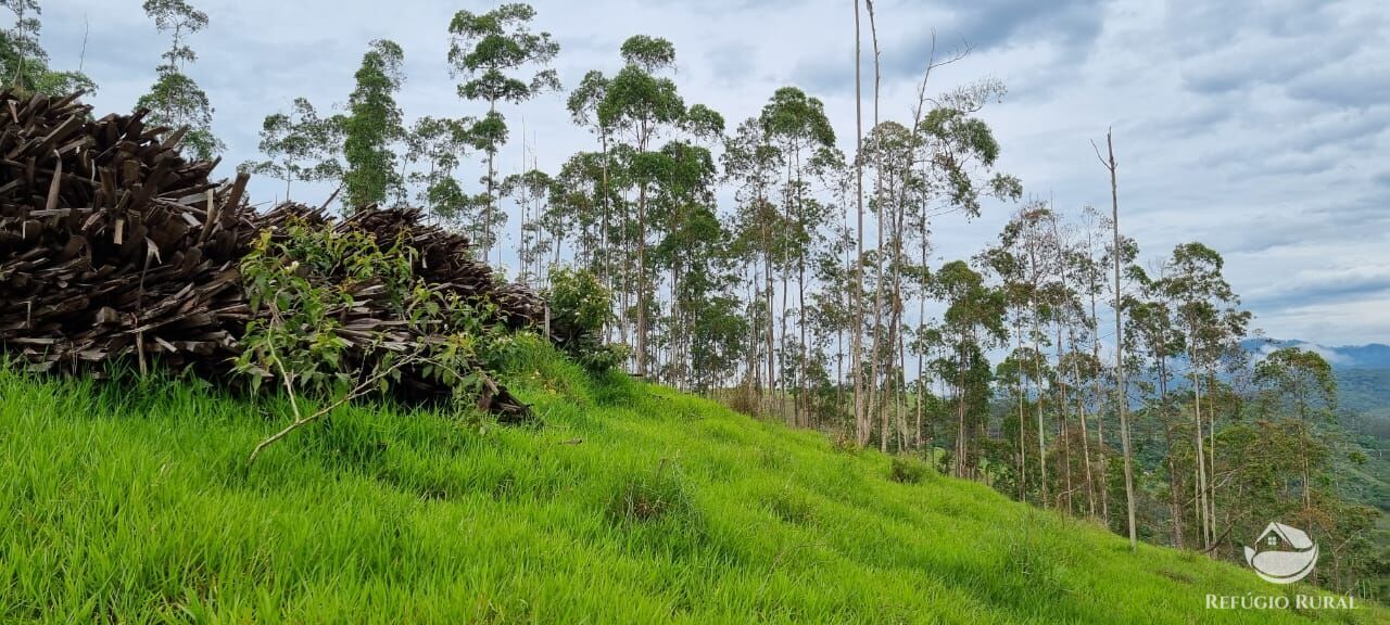 Sítio de 36 ha em São José dos Campos, SP