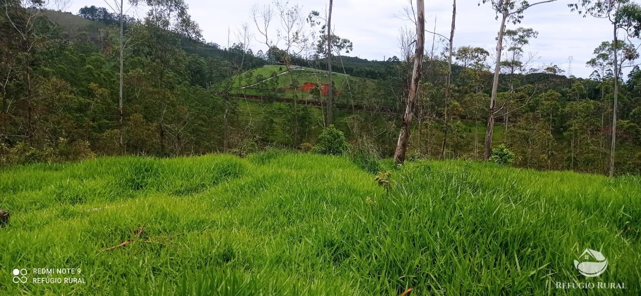 Sítio de 36 ha em São José dos Campos, SP