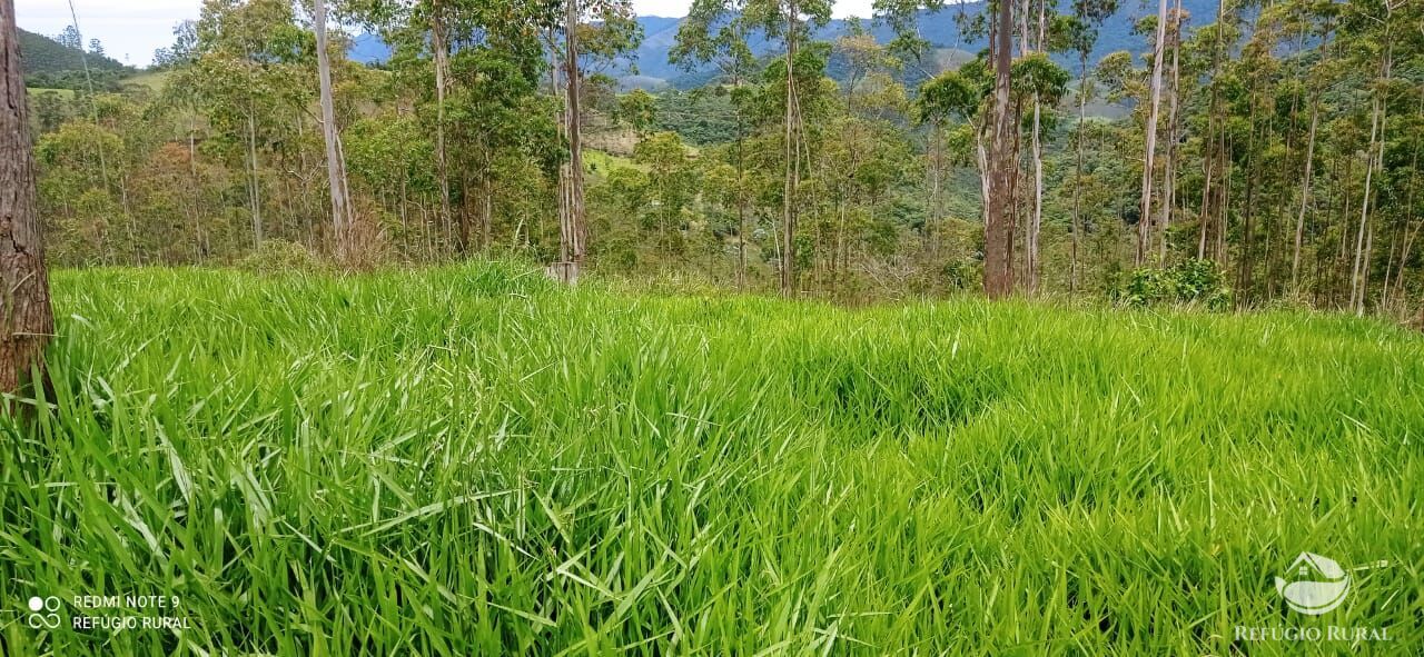 Sítio de 36 ha em São José dos Campos, SP