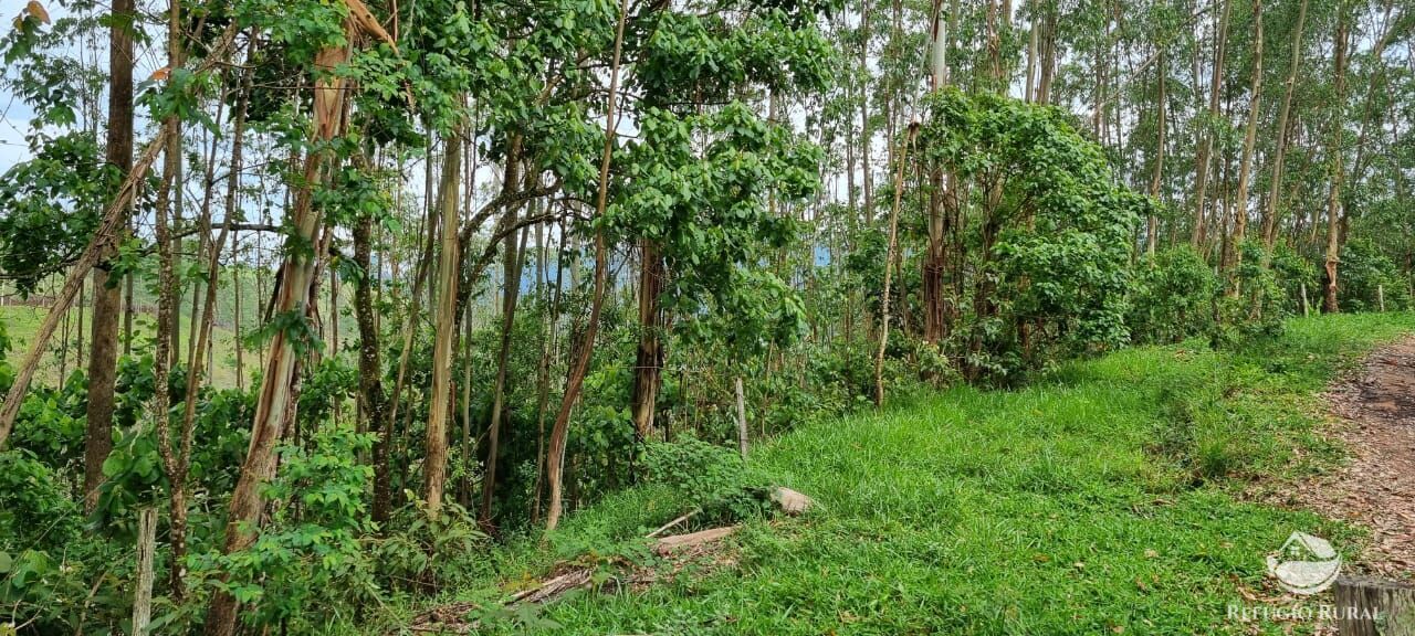 Sítio de 36 ha em São José dos Campos, SP