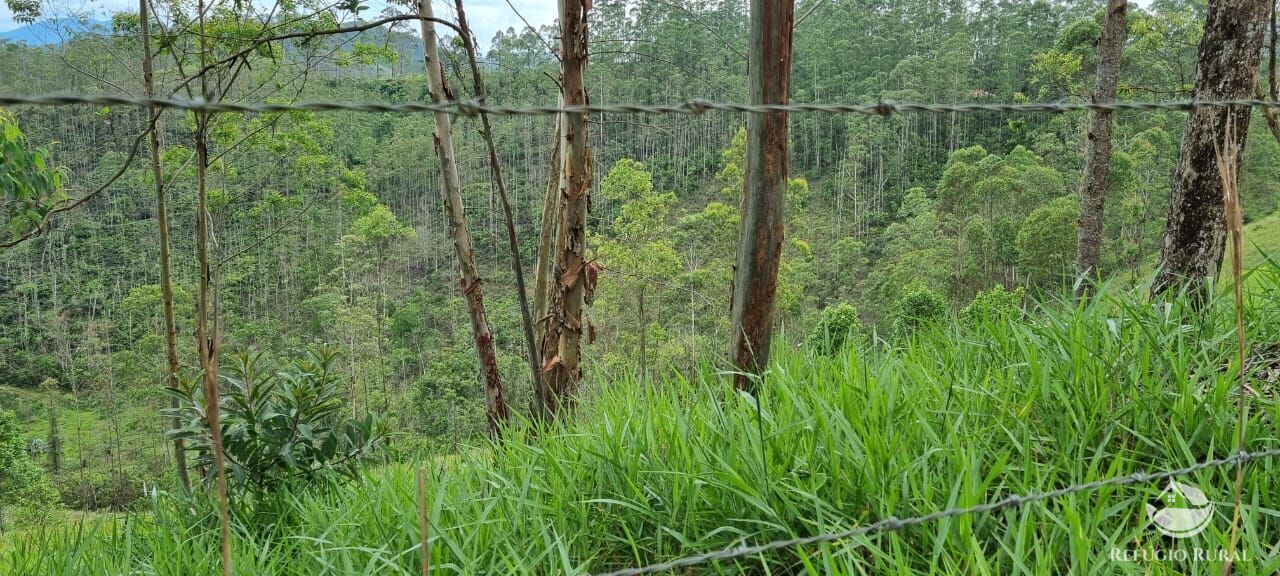 Sítio de 36 ha em São José dos Campos, SP