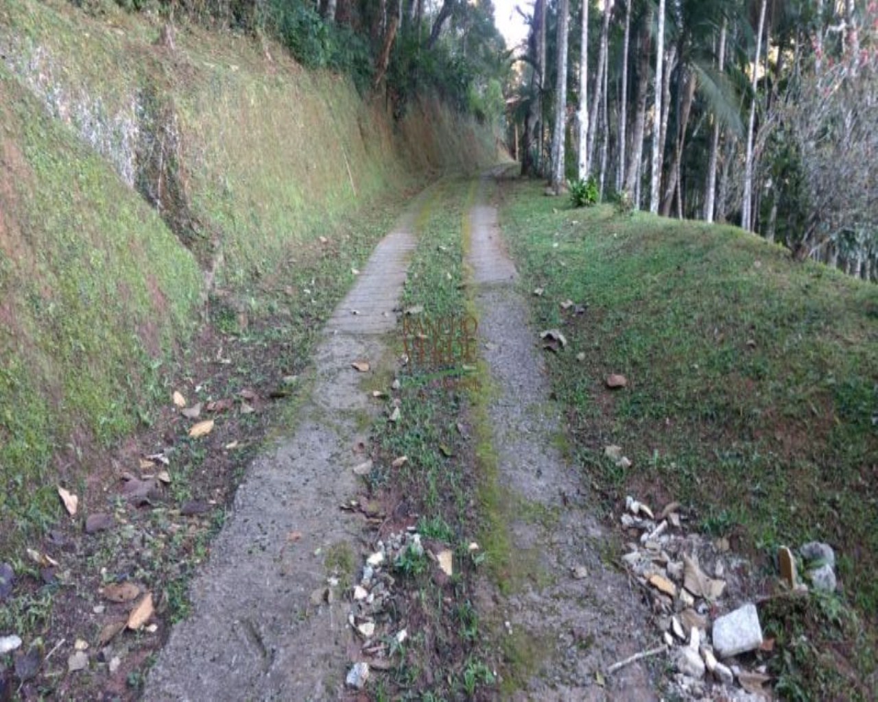 Chácara de 3 ha em Paraibuna, SP