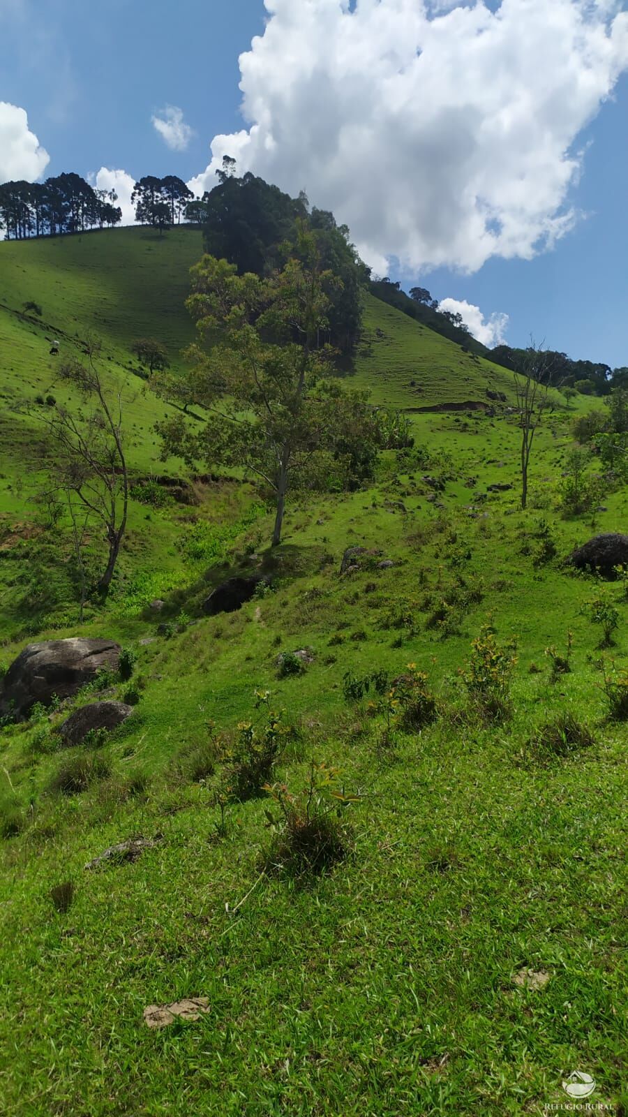 Terreno de 24 ha em Consolação, MG