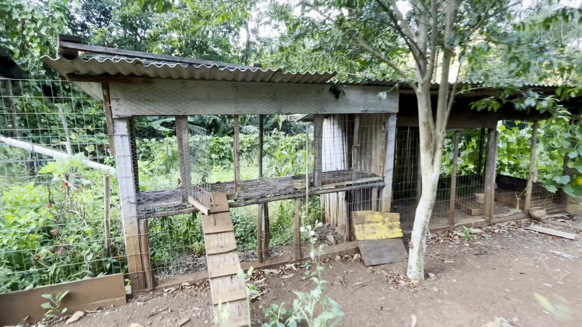 Terreno de 3 ha em São Francisco de Paula, RS