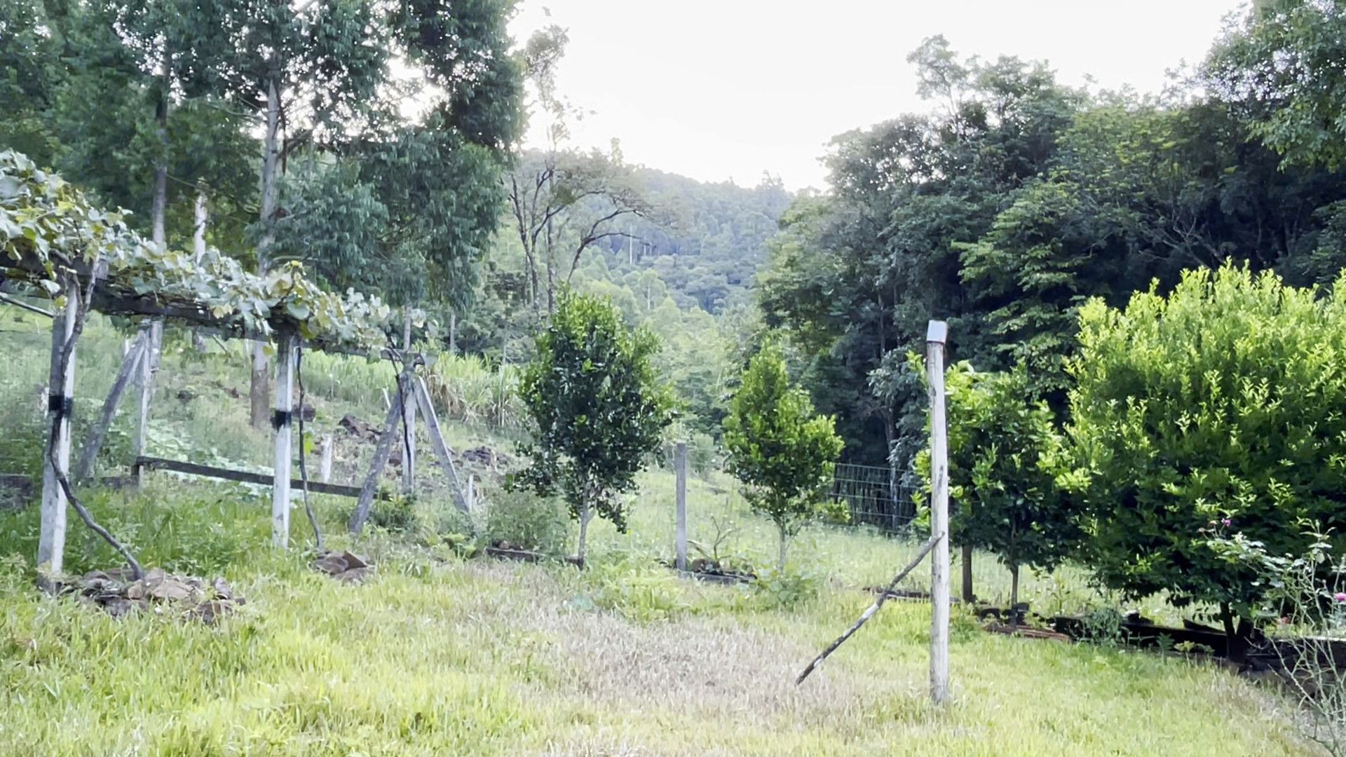 Terreno de 3 ha em São Francisco de Paula, RS