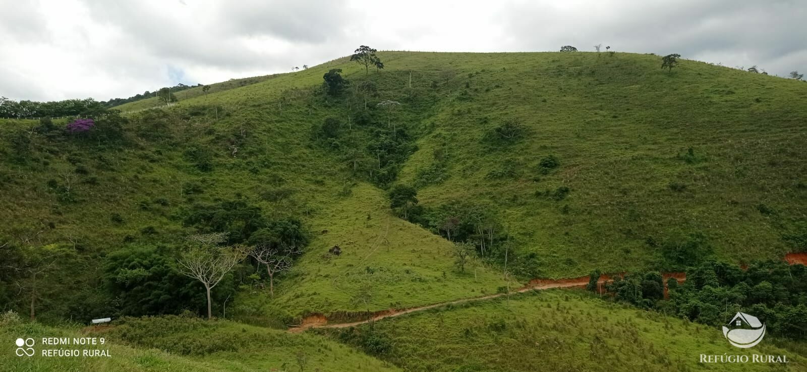 Sítio de 53 ha em Monteiro Lobato, SP