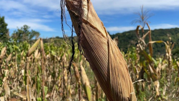 Chácara de 2.080 m² em Santo Antônio da Patrulha, RS