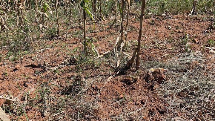 Chácara de 2.080 m² em Santo Antônio da Patrulha, RS