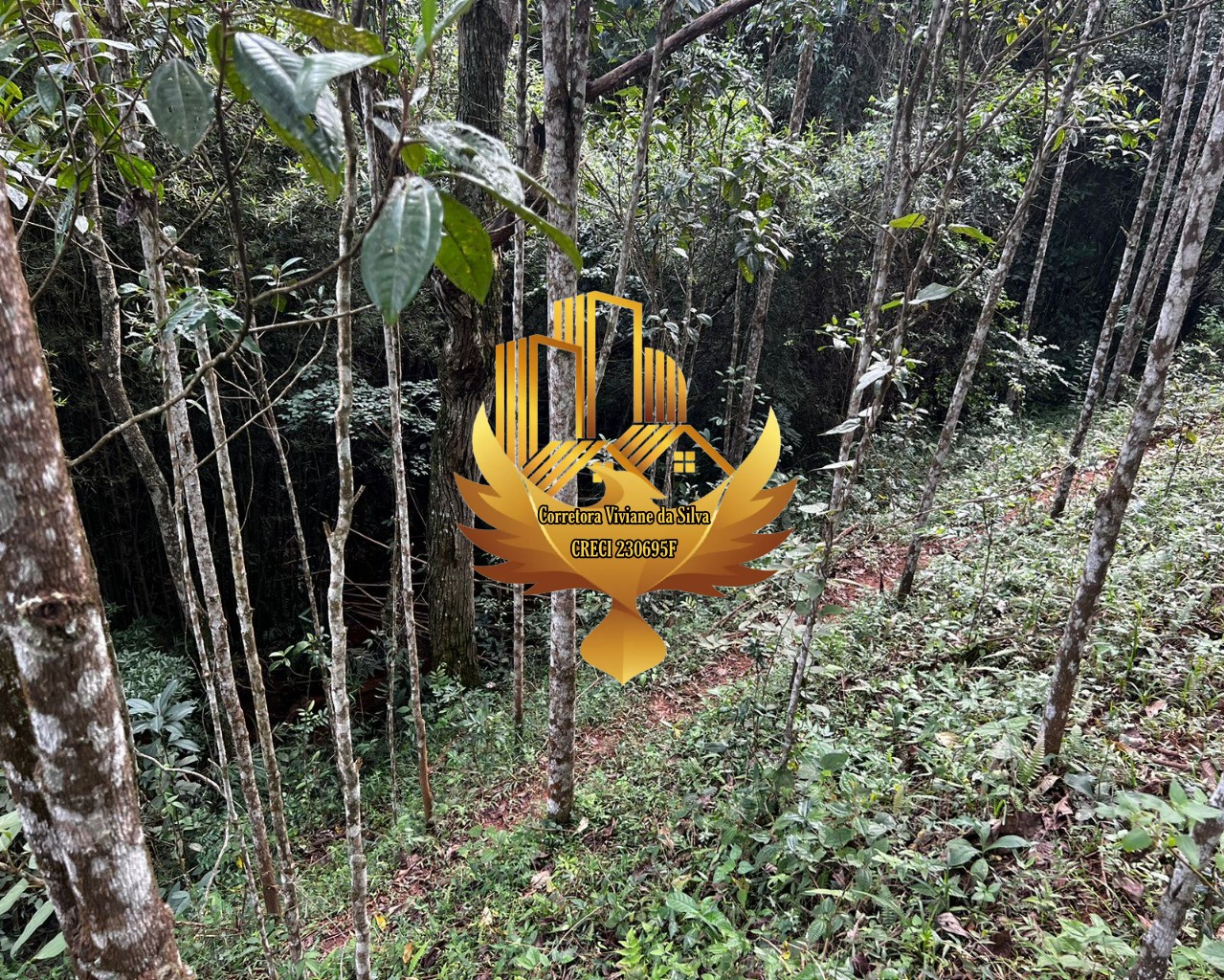 Terreno de 2 ha em Jambeiro, SP