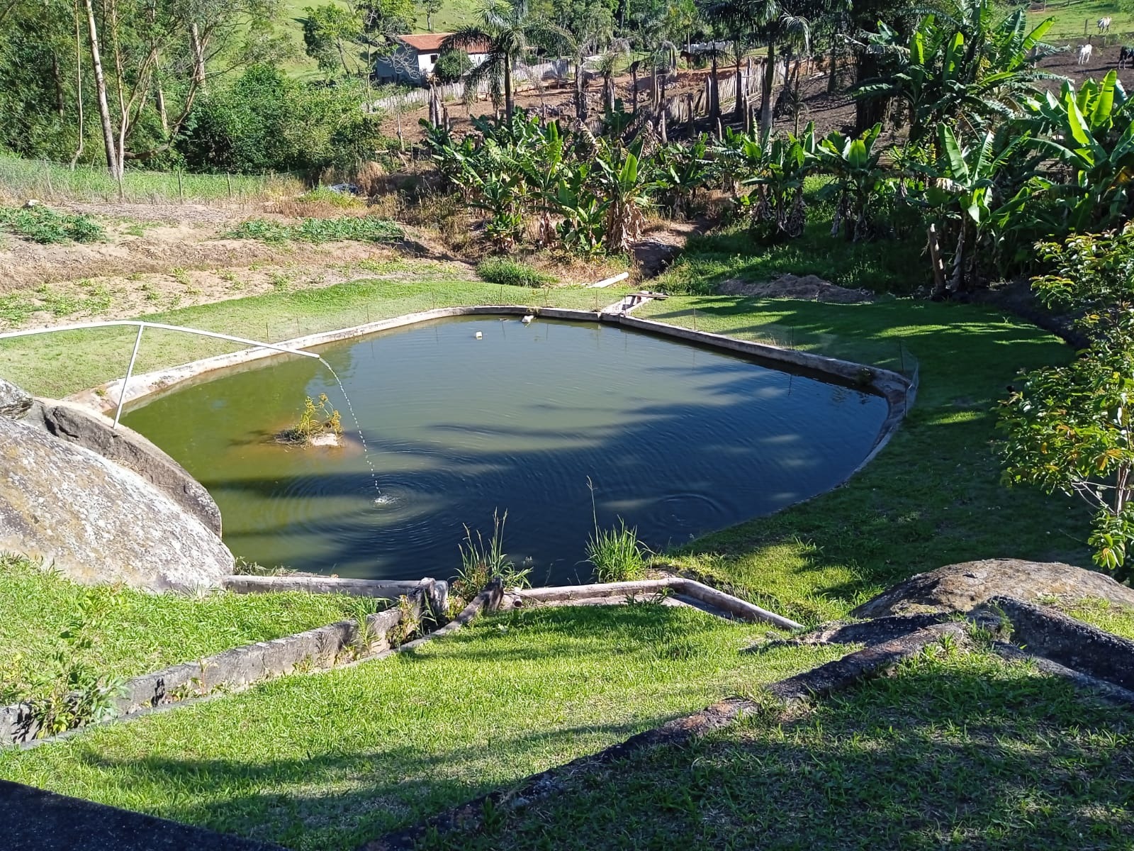 Sítio de 3 ha em Paraibuna, SP