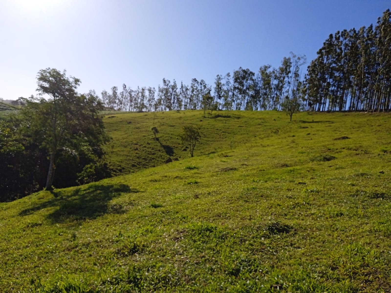 Sítio de 3 ha em Paraibuna, SP