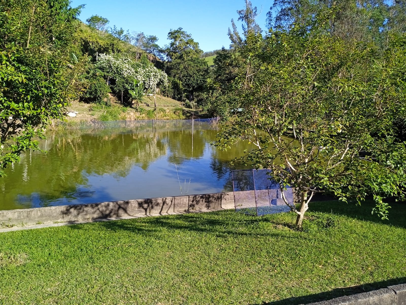 Sítio de 3 ha em Paraibuna, SP