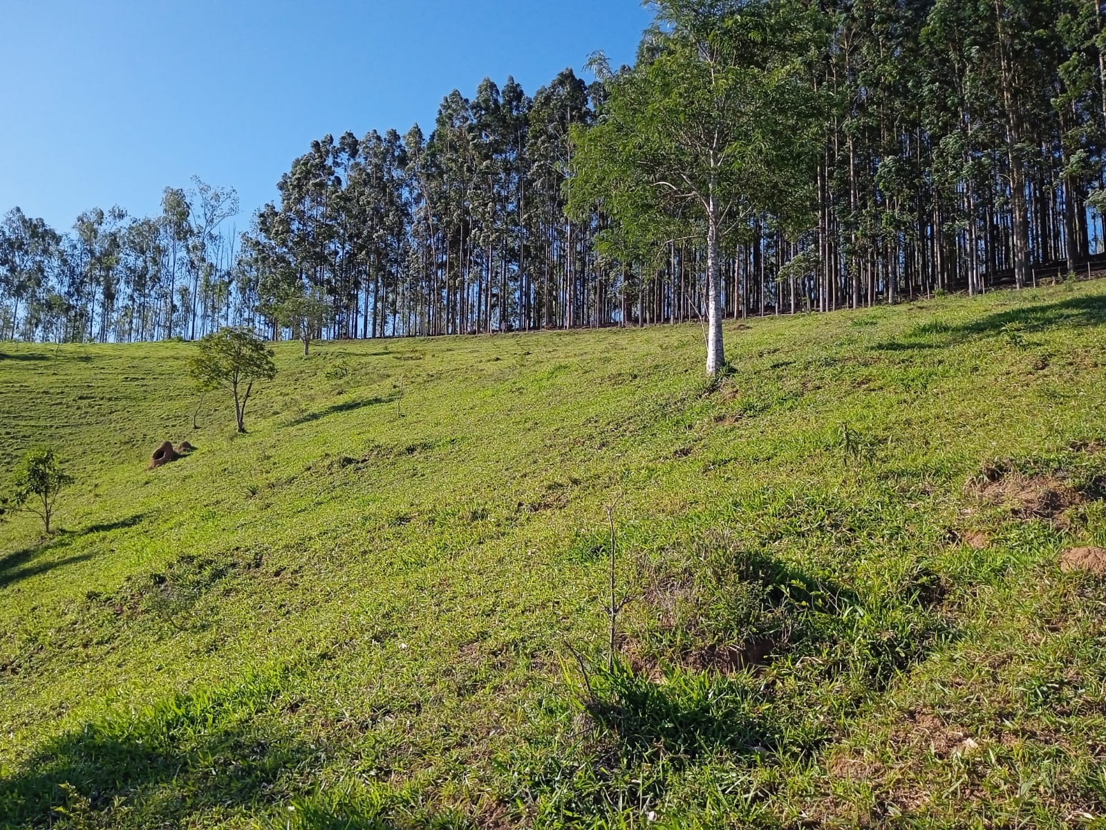 Sítio de 3 ha em Paraibuna, SP