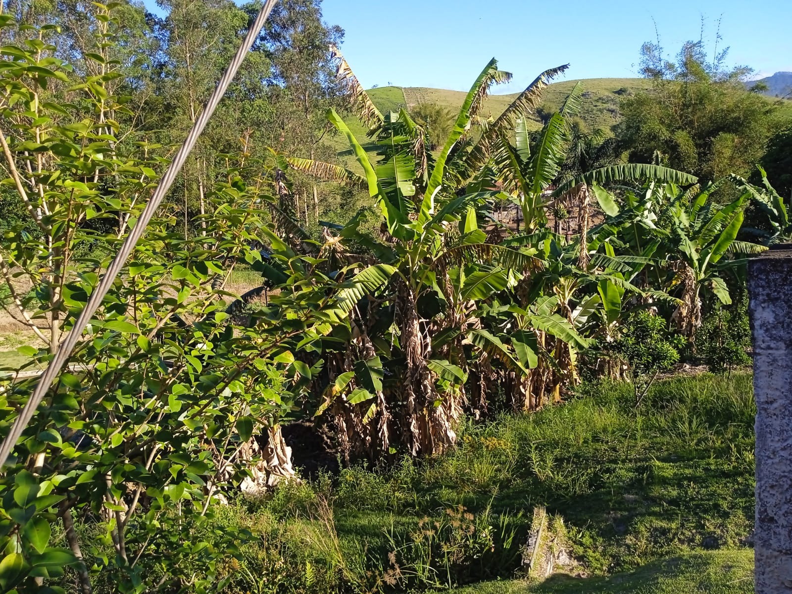 Sítio de 3 ha em Paraibuna, SP