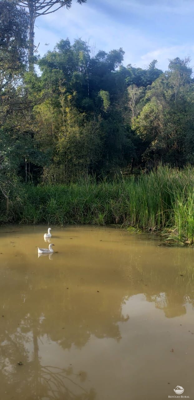 Sítio de 12 ha em São Luiz do Paraitinga, SP