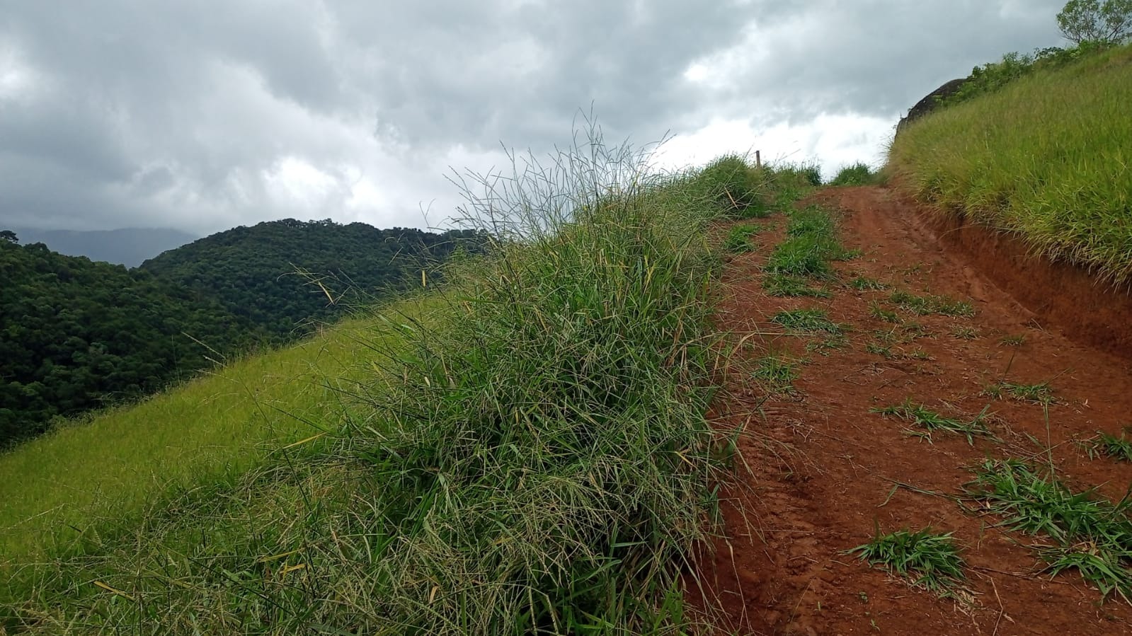 Terreno de 2 ha em São José dos Campos, SP