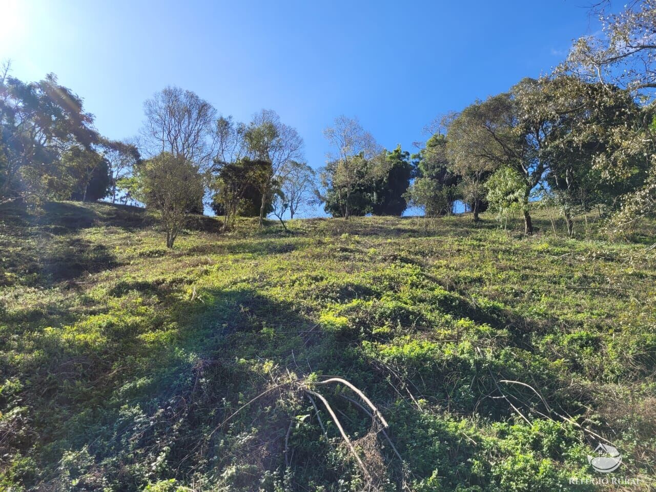 Terreno de 2 ha em Santo Antônio do Pinhal, SP