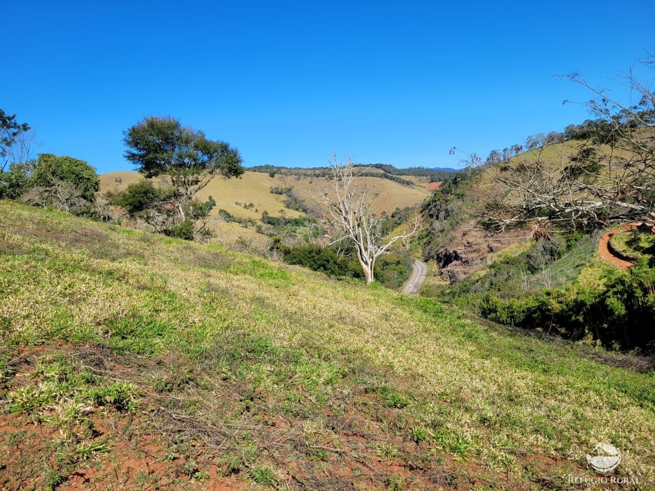 Terreno de 2 ha em Santo Antônio do Pinhal, SP