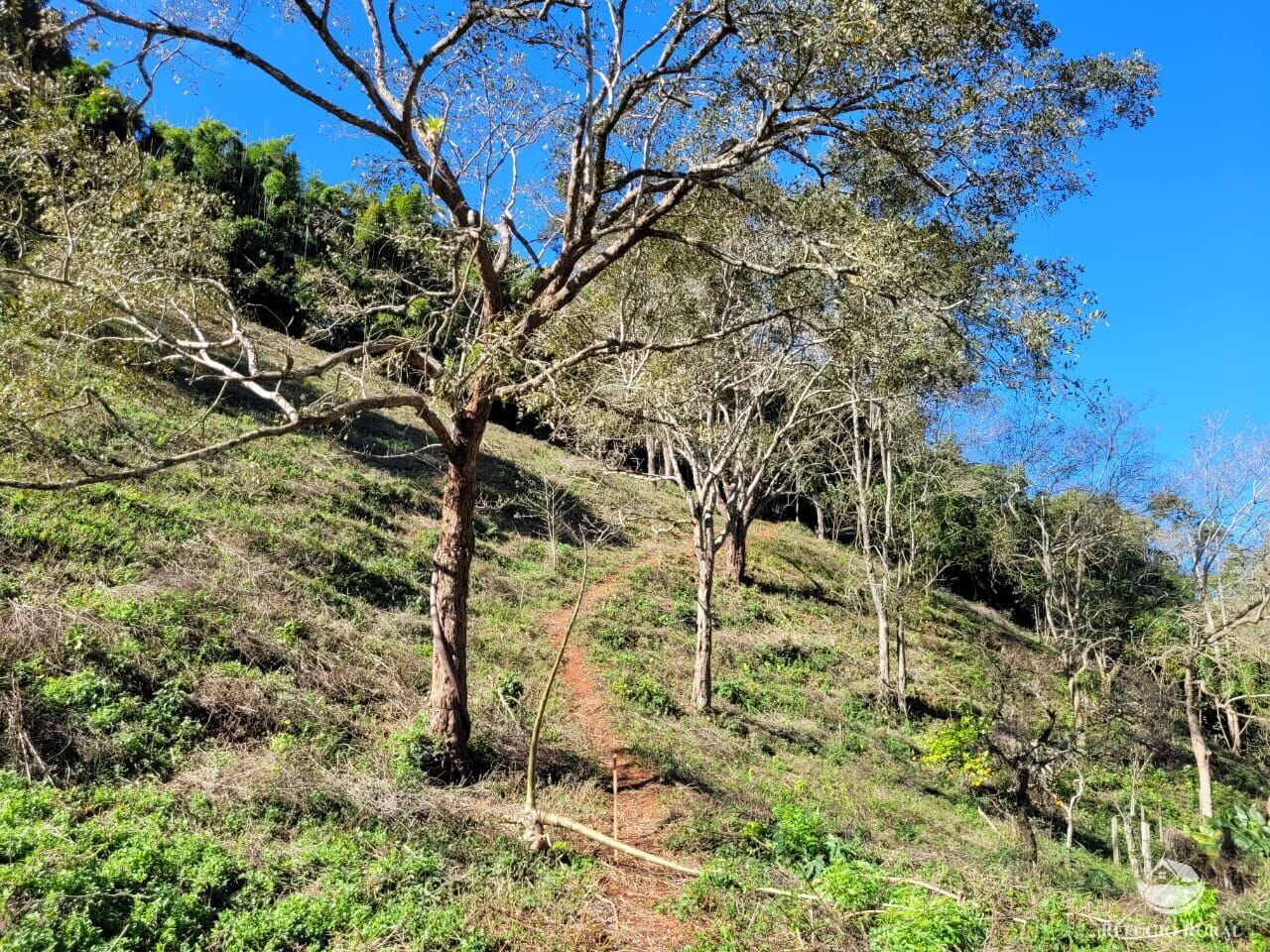 Terreno de 2 ha em Santo Antônio do Pinhal, SP