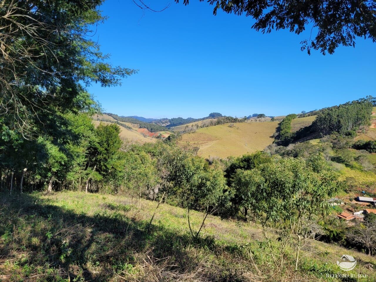 Terreno de 2 ha em Santo Antônio do Pinhal, SP