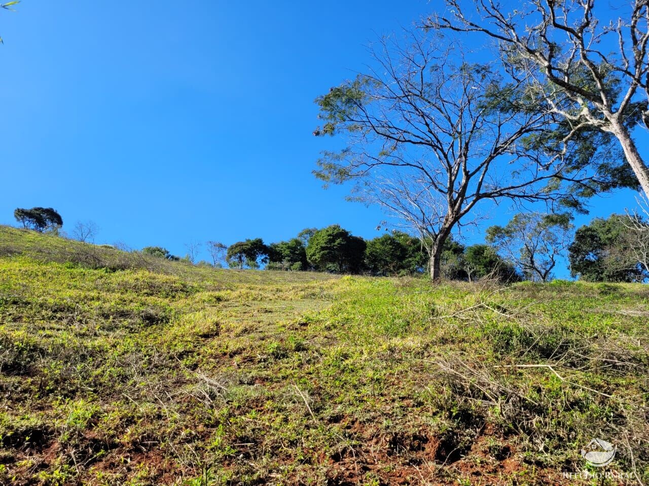 Terreno de 2 ha em Santo Antônio do Pinhal, SP