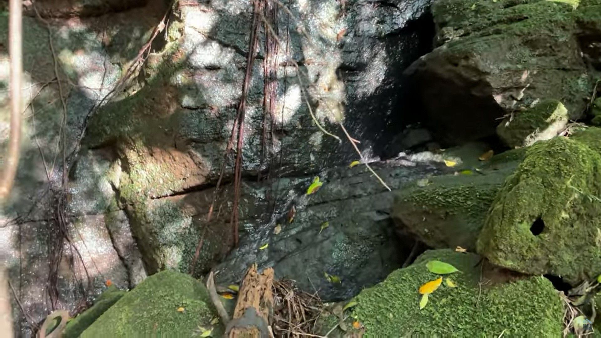 Chácara de 30 ha em Taquara, RS