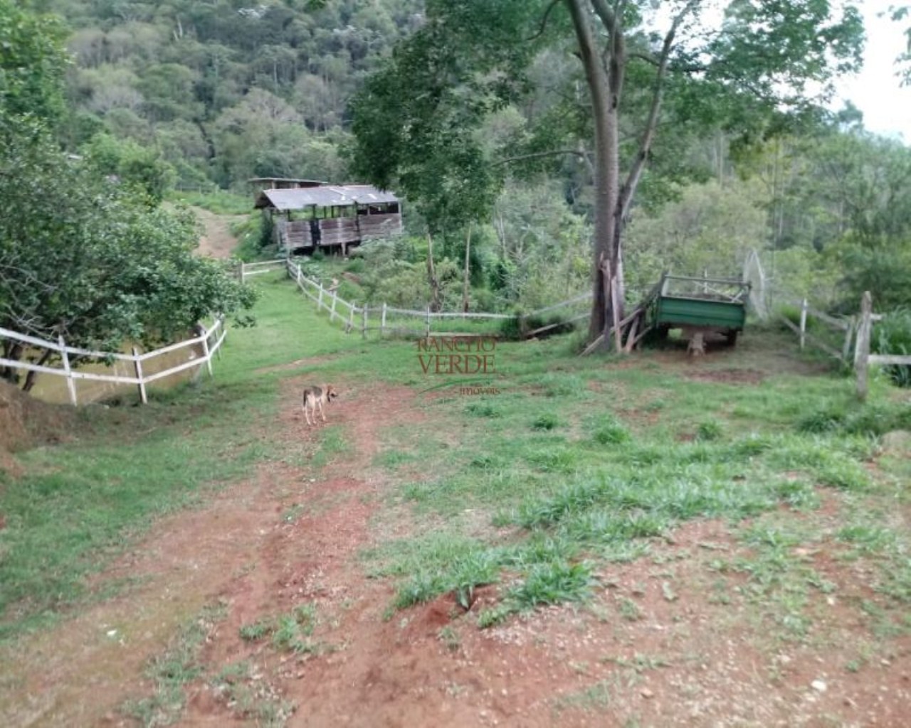 Sítio de 39 ha em Monteiro Lobato, SP