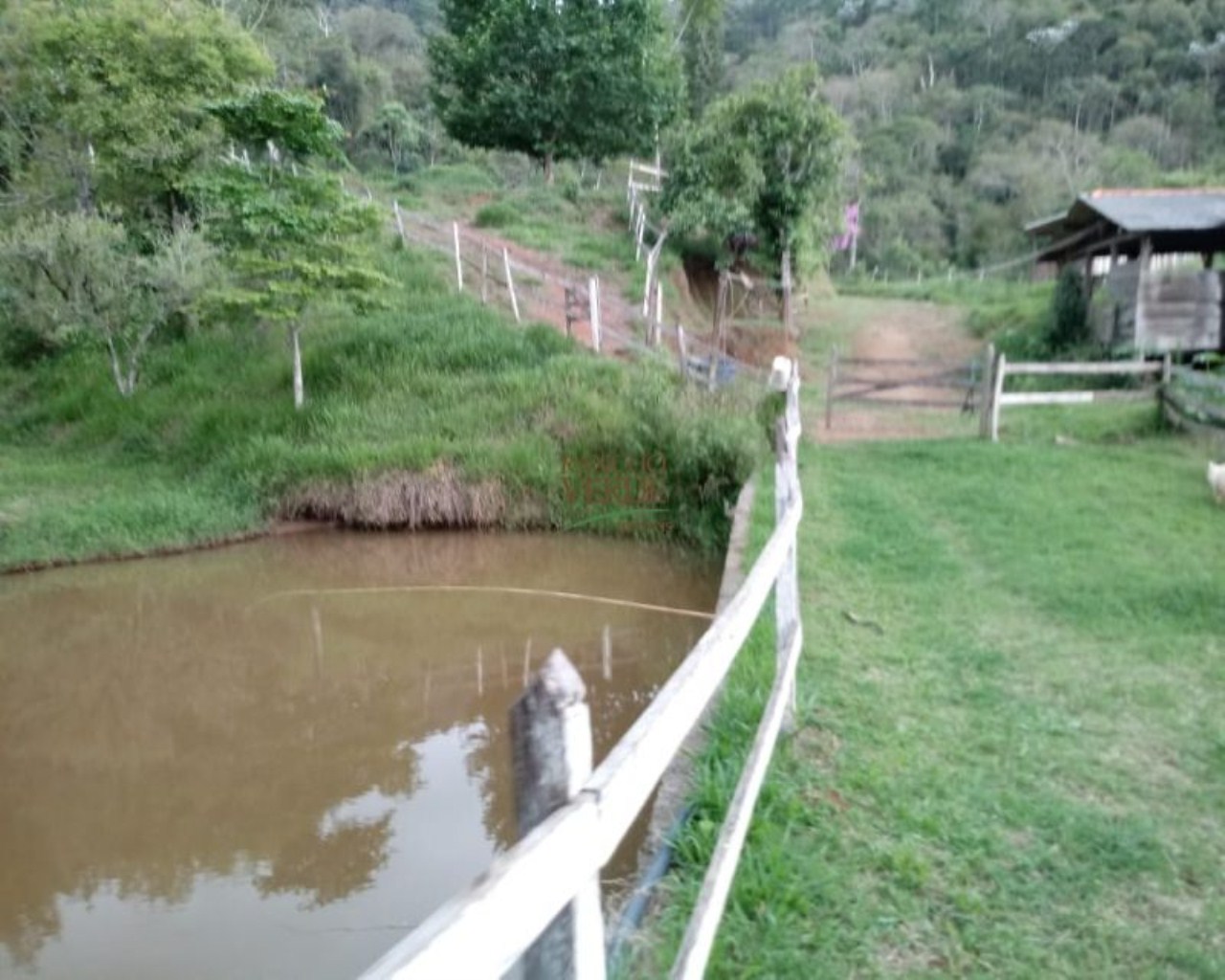 Sítio de 39 ha em Monteiro Lobato, SP