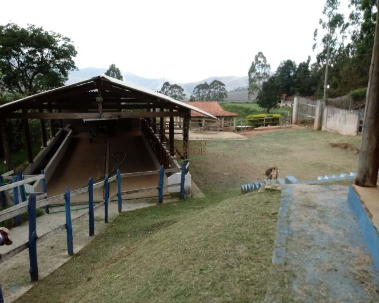 Sítio de 39 ha em Monteiro Lobato, SP