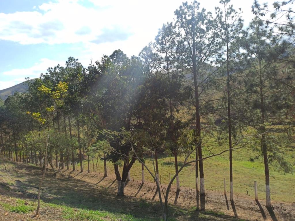 Sítio de 11 ha em São José dos Campos, SP