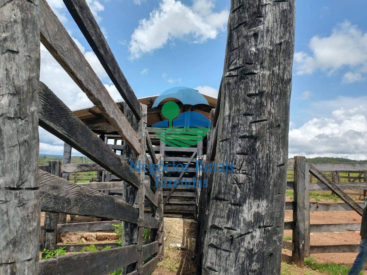 Fazenda de 968 ha em Silvanópolis, TO