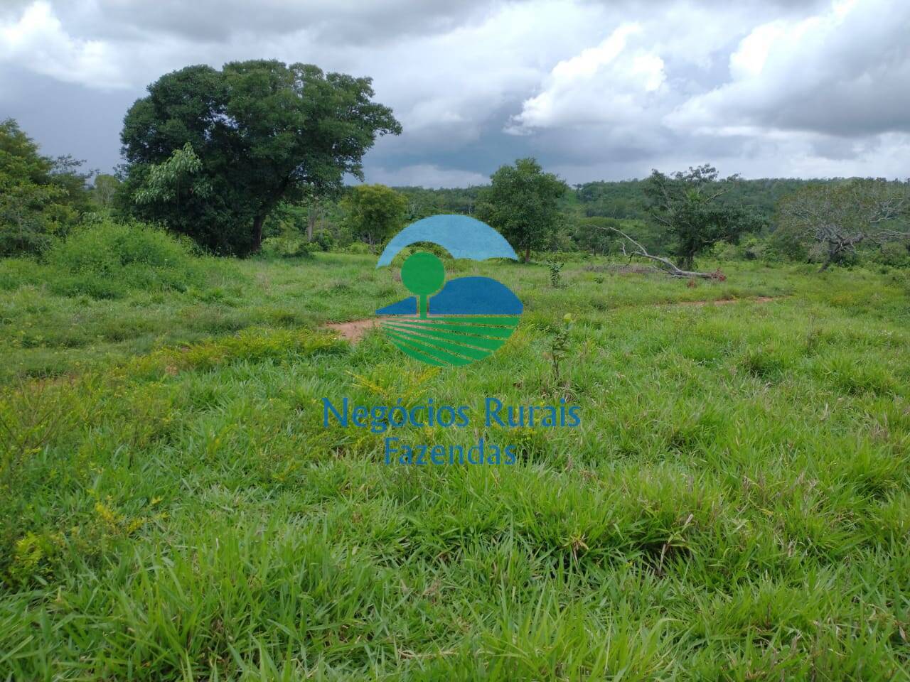 Fazenda de 968 ha em Silvanópolis, TO