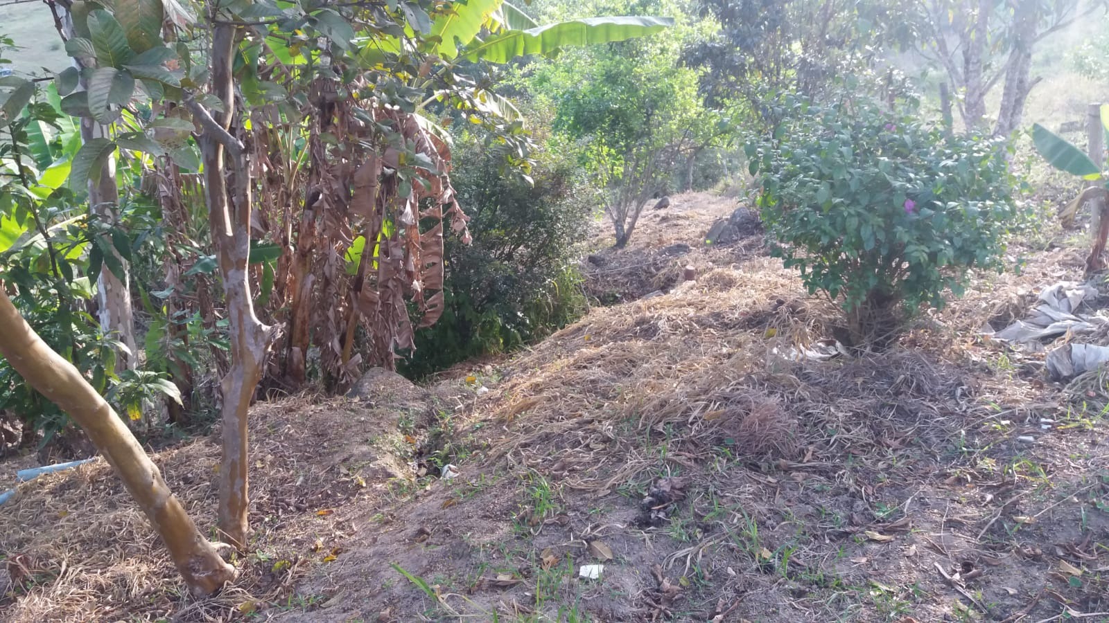 Sítio de 7 ha em Cunha, SP