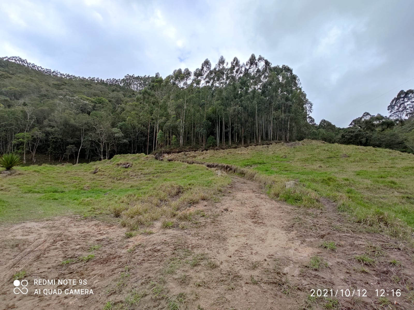 Sítio de 31 ha em Natividade da Serra, SP