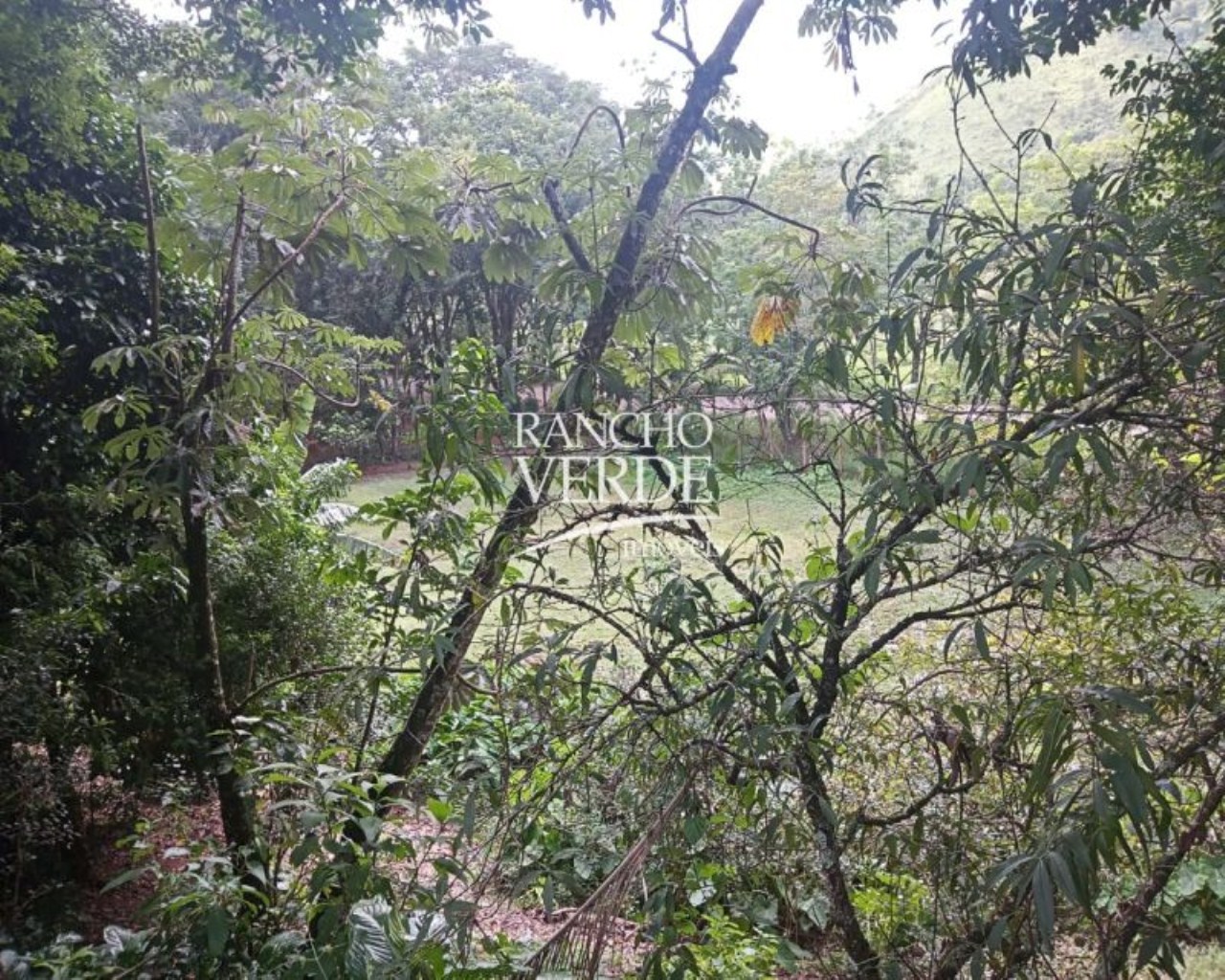 Sítio de 7 ha em São José dos Campos, SP