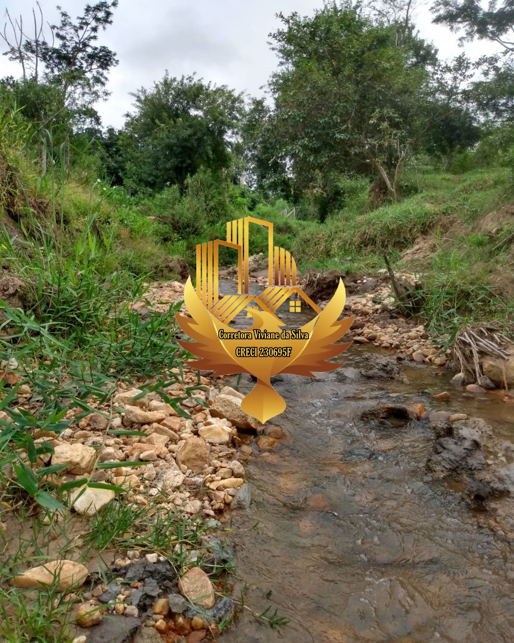 Chácara de 2 ha em Taubaté, SP