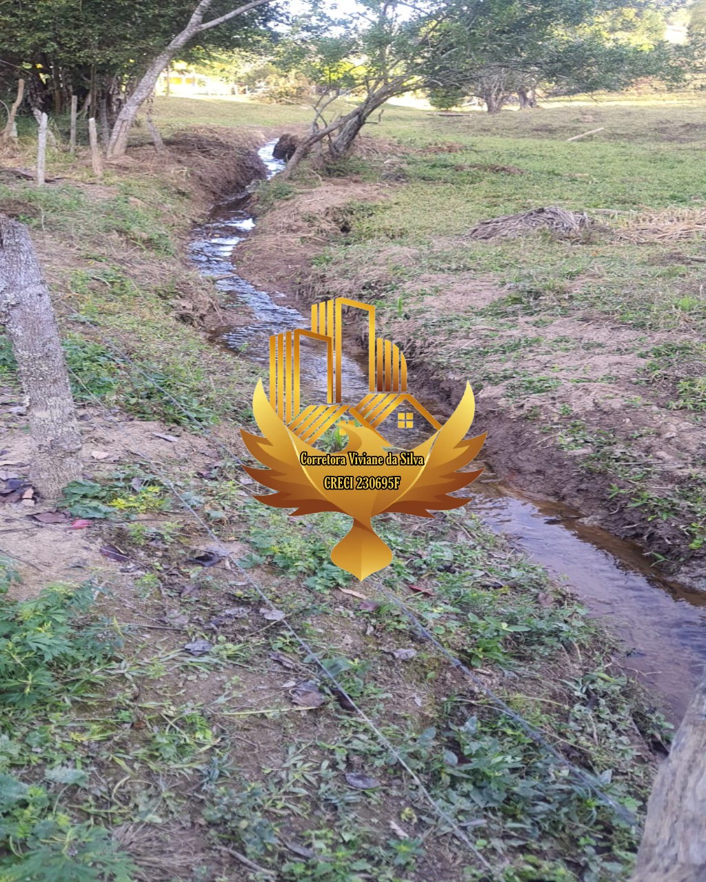 Chácara de 5.000 m² em Cunha, SP