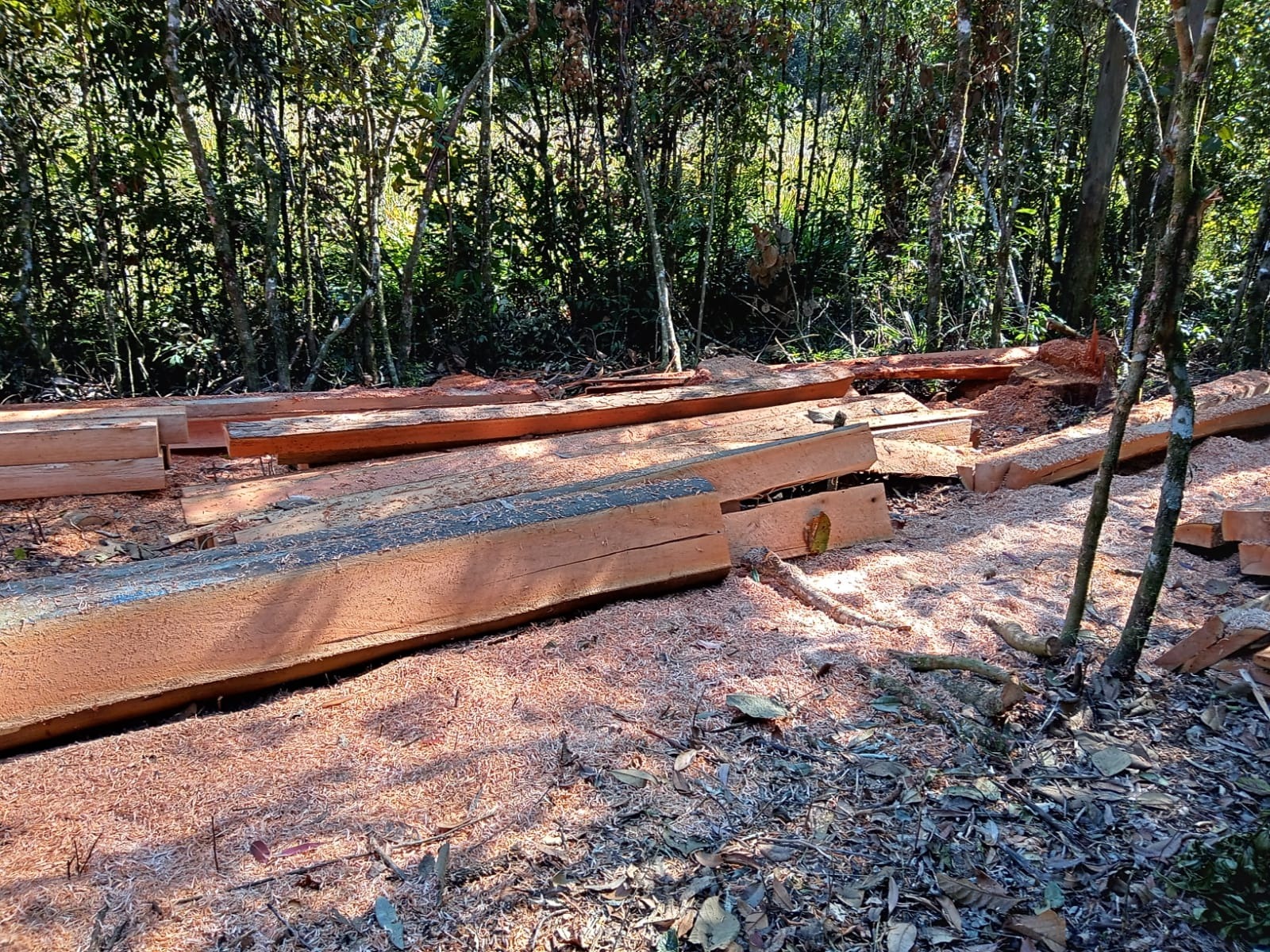 Terreno de 29 ha em São José dos Campos, SP