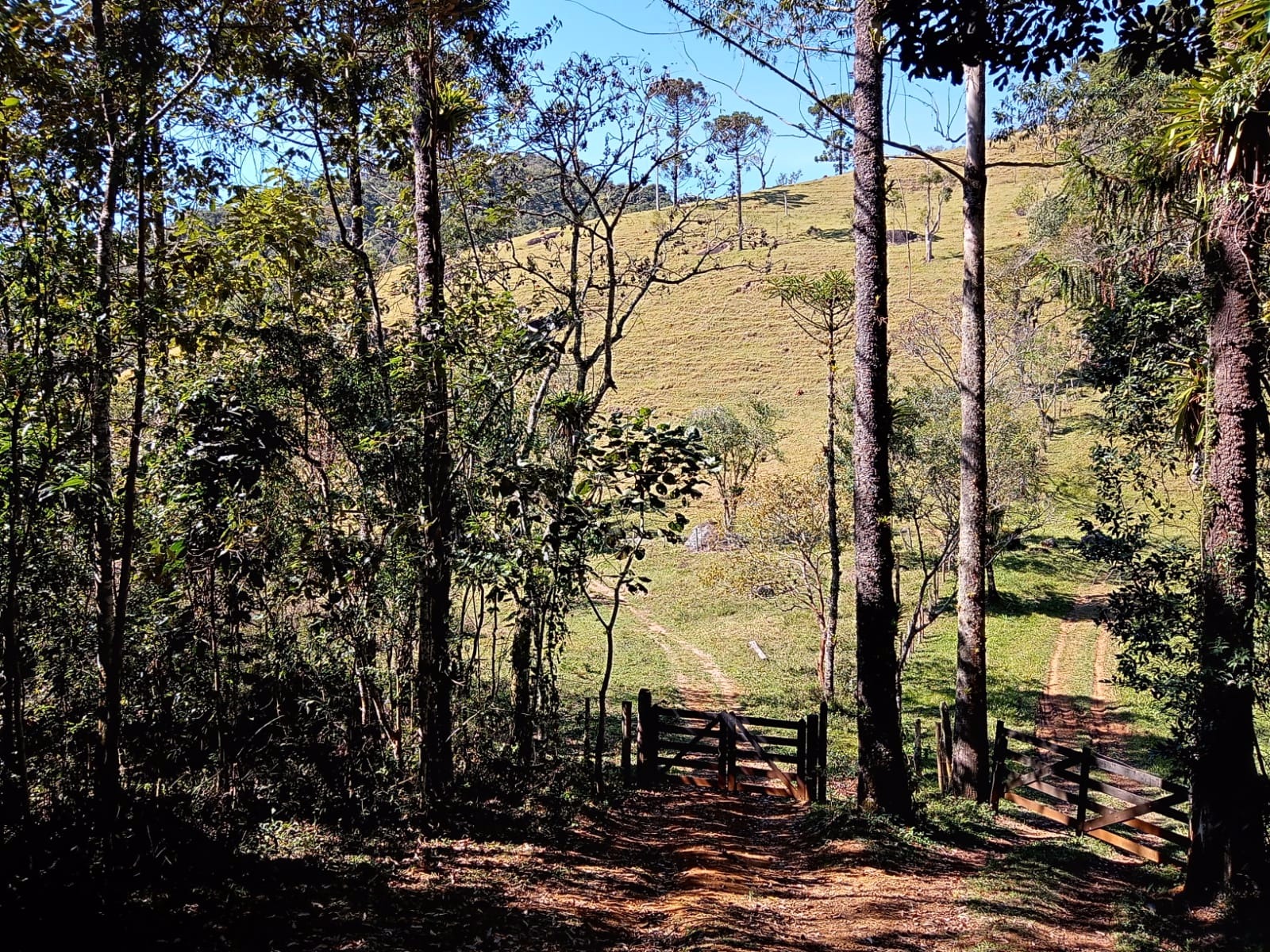 Terreno de 29 ha em São José dos Campos, SP