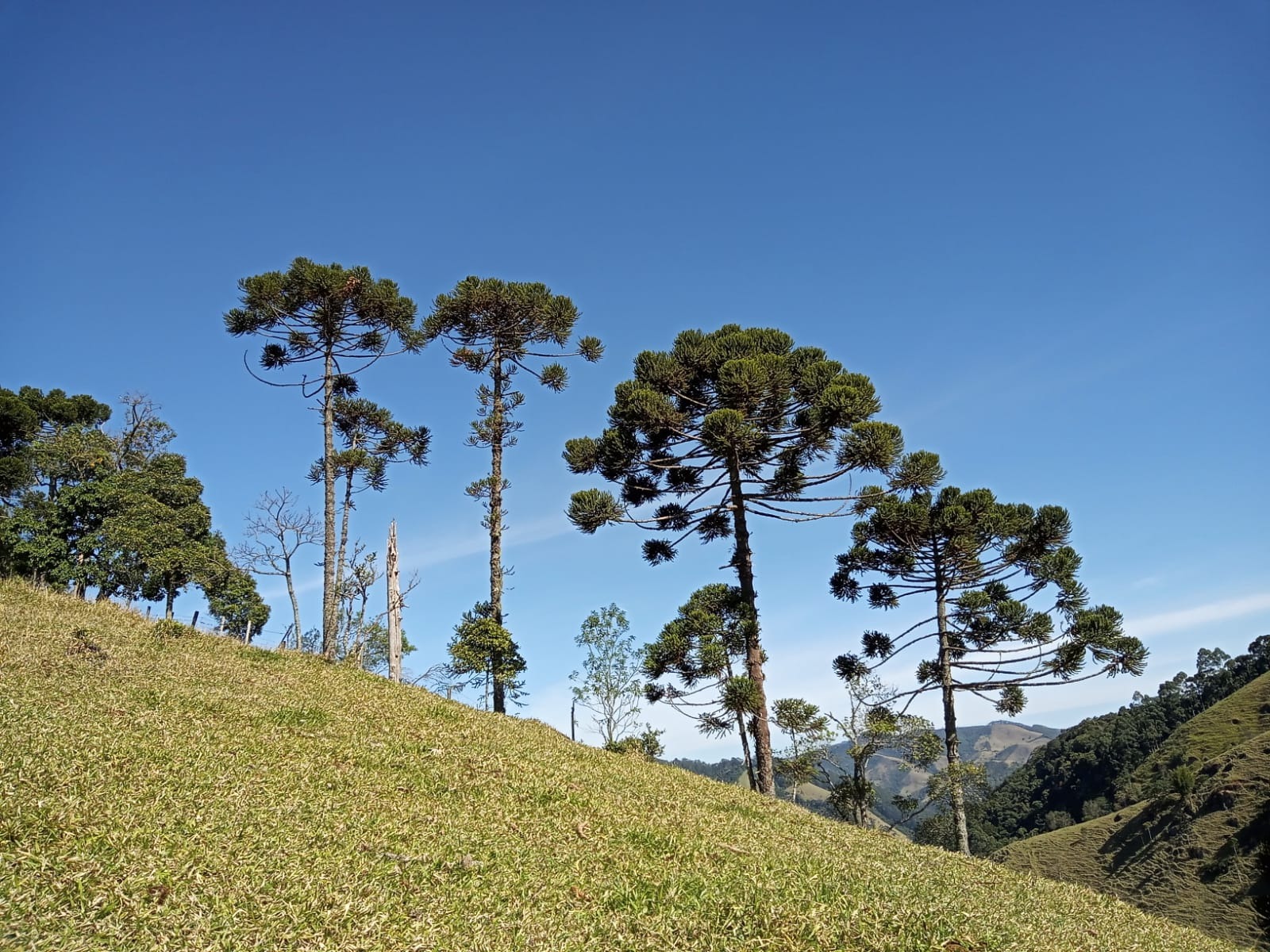 Terreno de 29 ha em São José dos Campos, SP