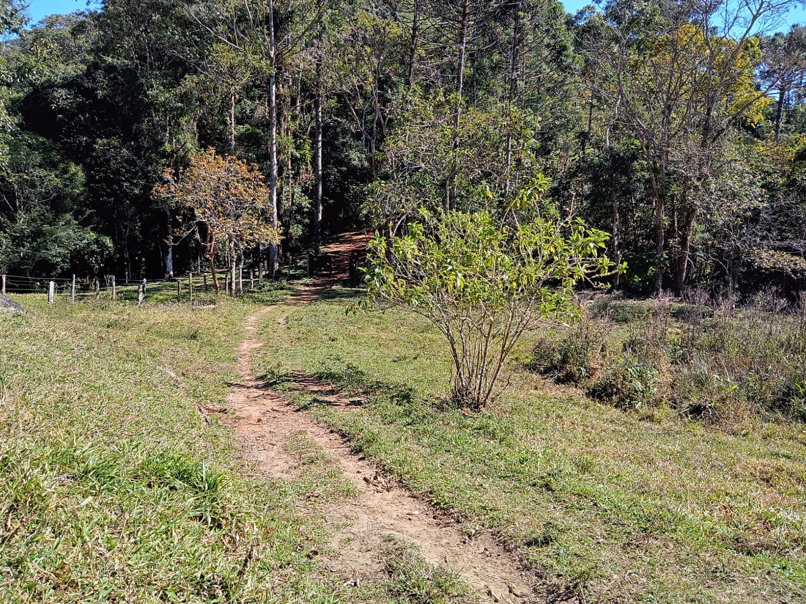 Terreno de 29 ha em São José dos Campos, SP