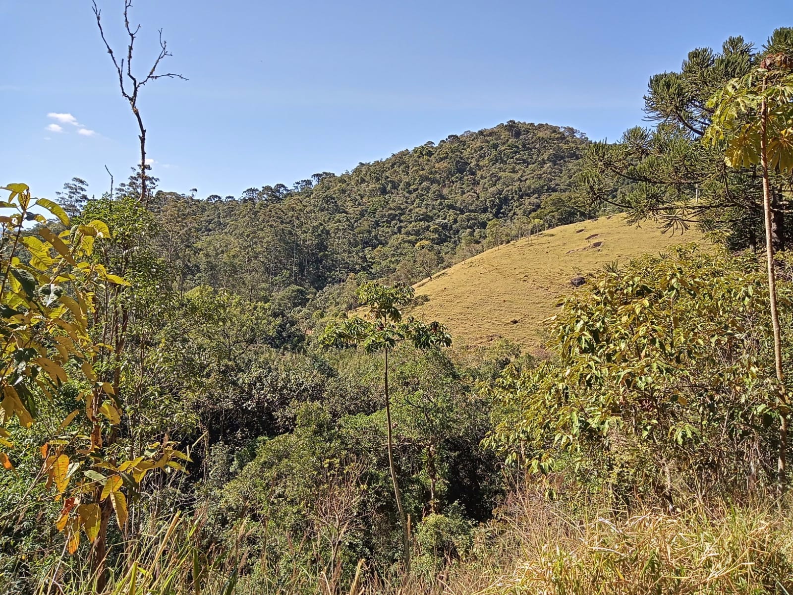 Terreno de 29 ha em São José dos Campos, SP